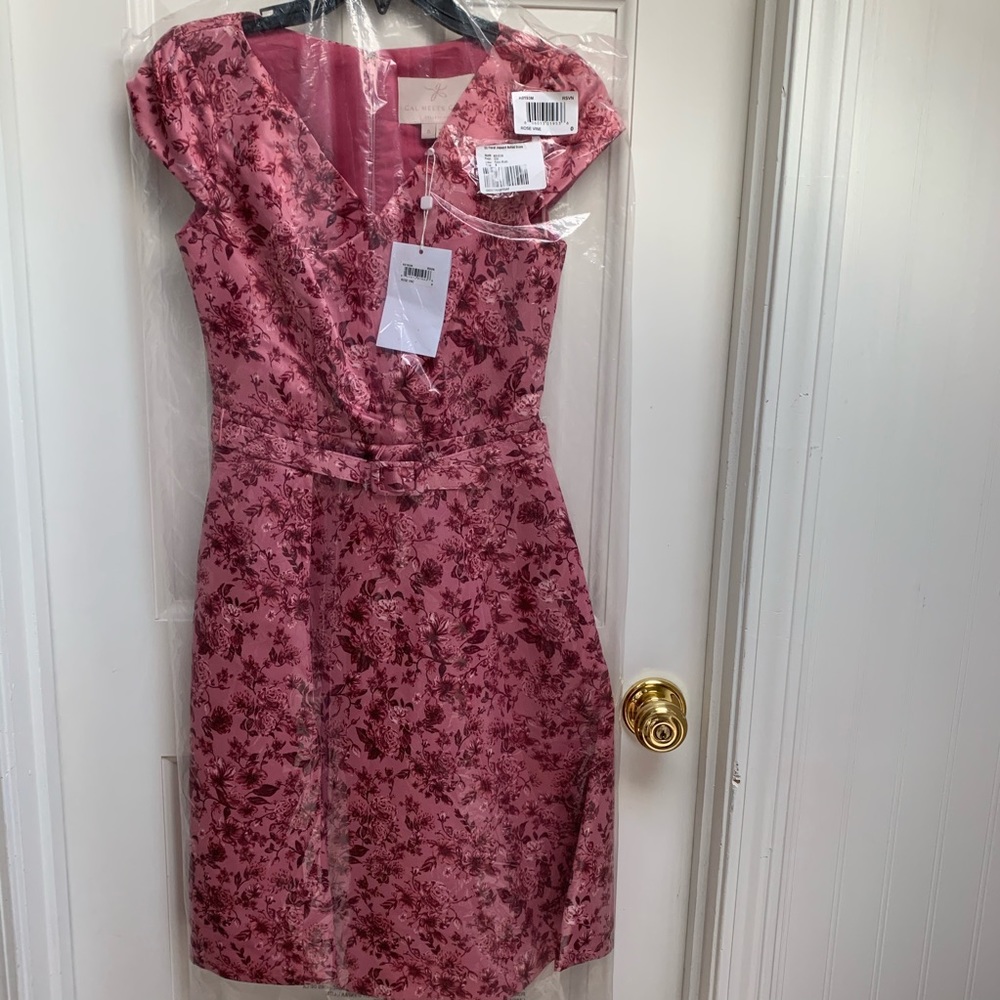 NWT Gal Meets Glam Elle Rose Floral Belted Dress 0 - Picture 7 of 13